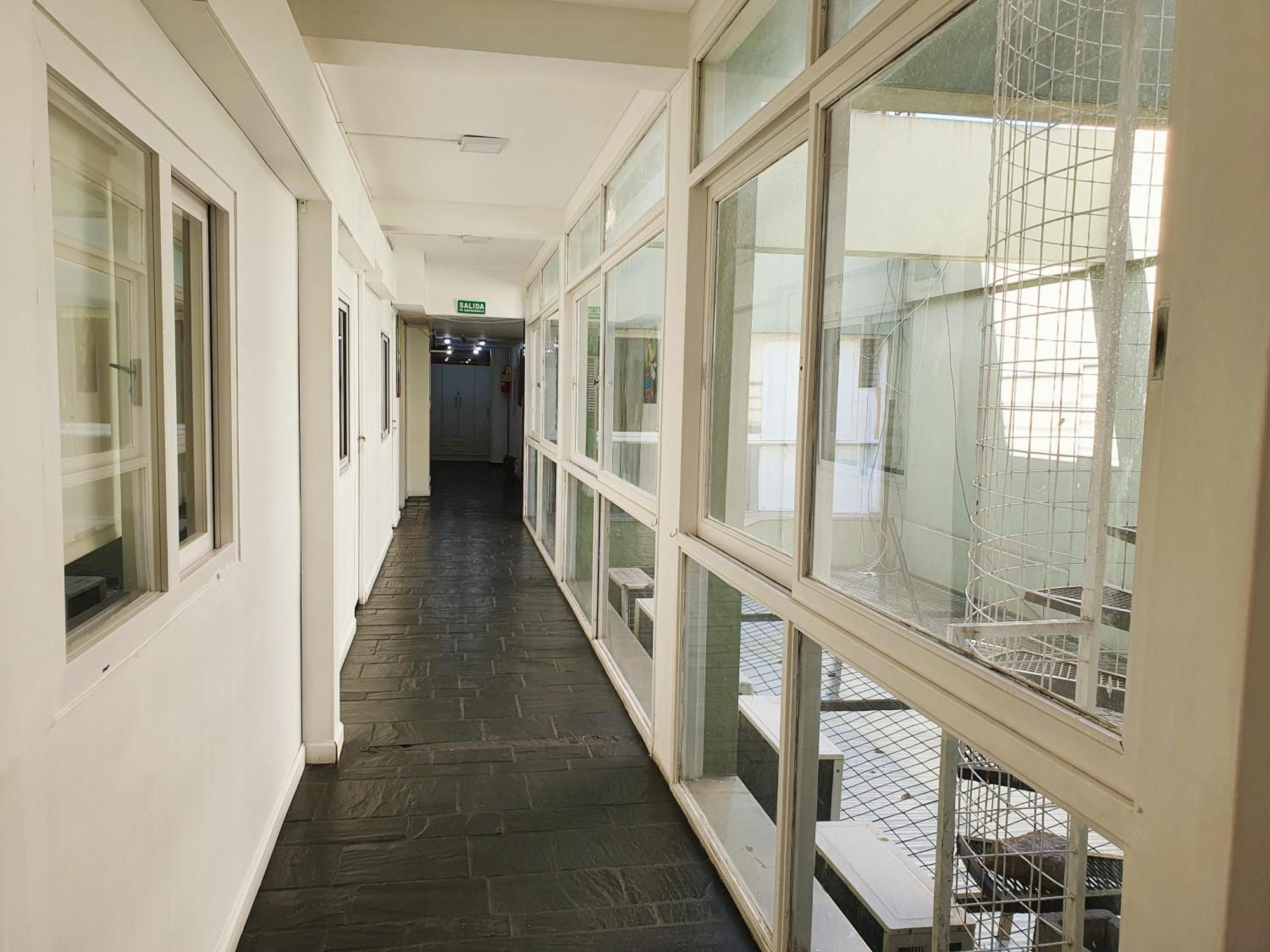 Hostal Con Piscina En Palermo Soho! 布宜诺斯艾利斯 外观 照片